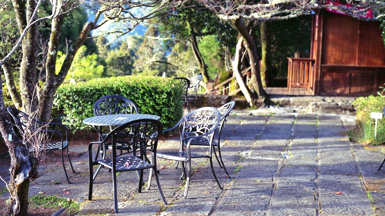 Garden patio area with table and chairs