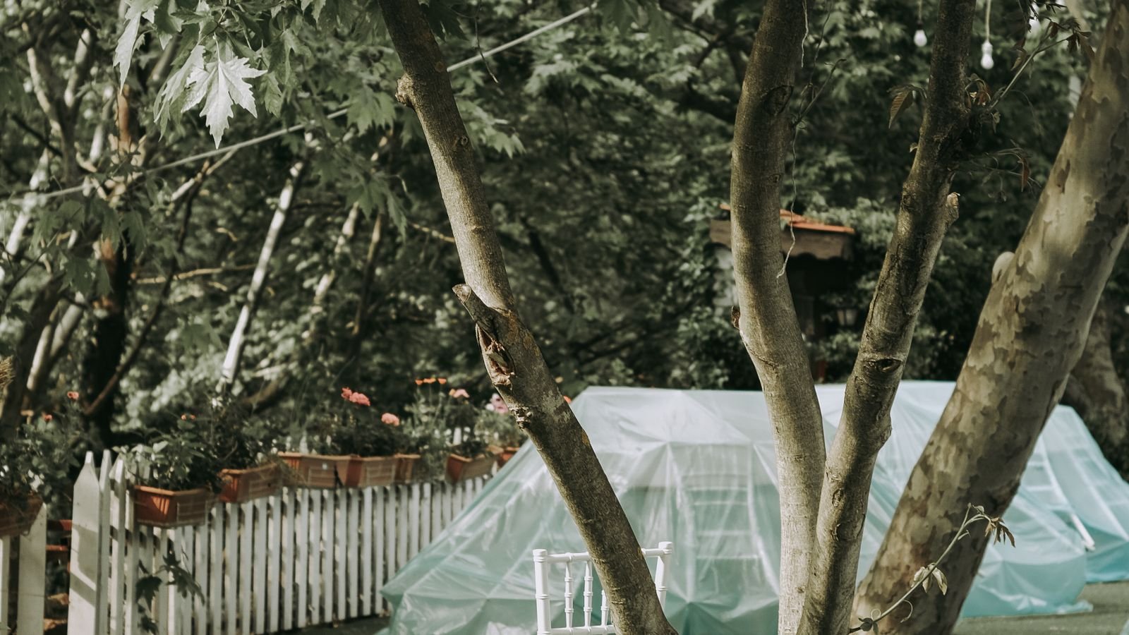 Quiet back garden with a chair under trees